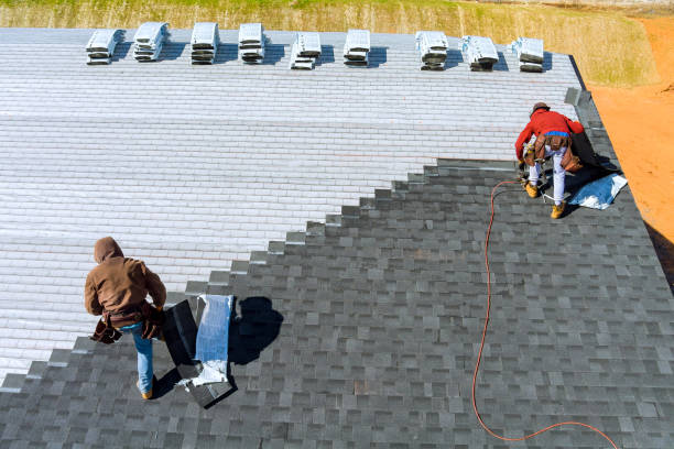 Best Local Roofing Companies  in Rio, WI