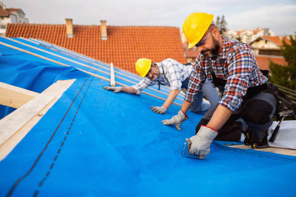 Best Roof Repair Services  in Rio, WI
