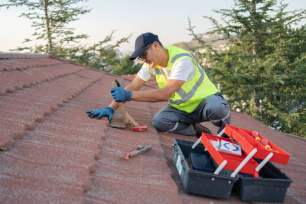 Best Roof Replacement Cost  in Rio, WI