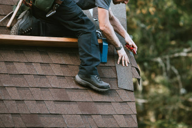 Best Metal Roofing Contractor  in Rio, WI