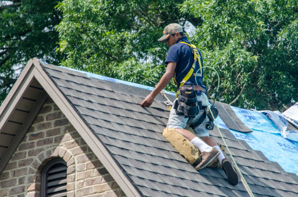 Best Roof Leak Repair  in Rio, WI