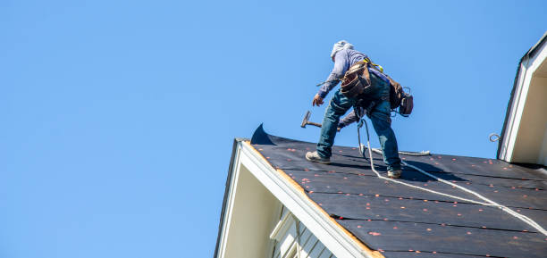 Best Gutter Installation and Roofing  in Rio, WI